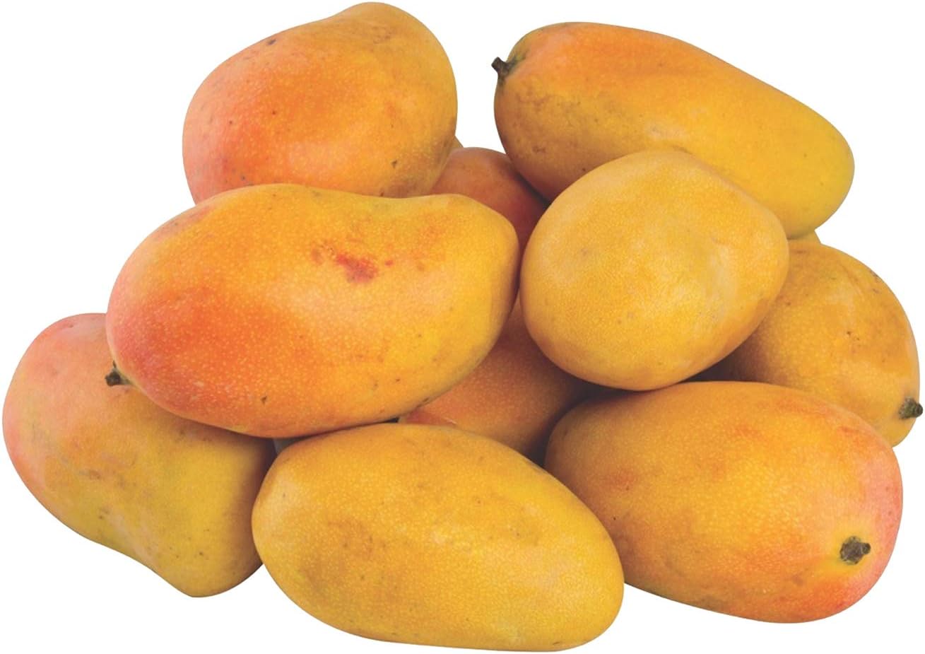 FRESH MANGO YEMEN