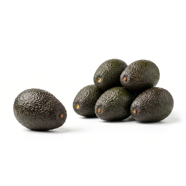 AVOCADO HASS MOROCCO