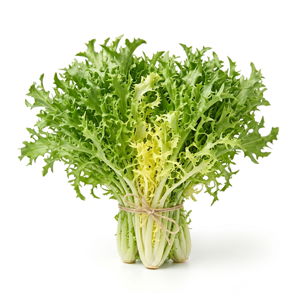 SALAD FRISEE 400GM APPROX