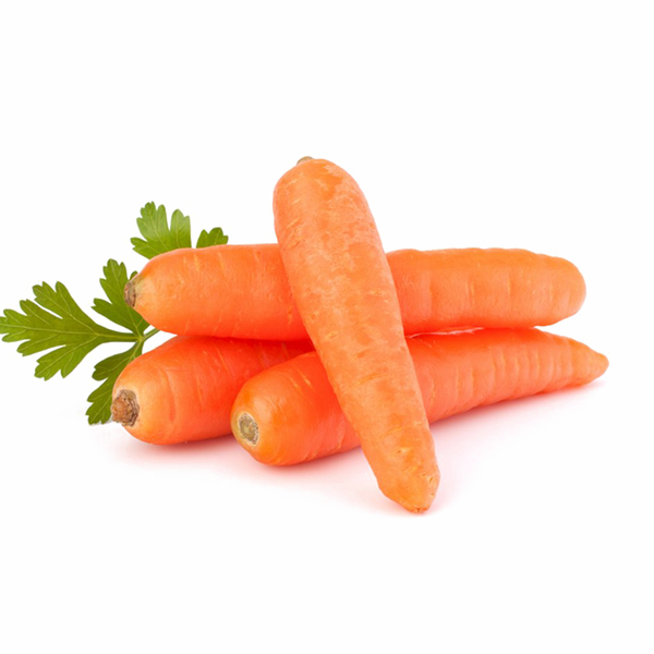 CARROT