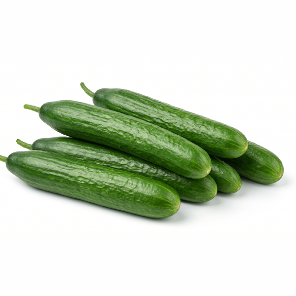 CUCUMBER
