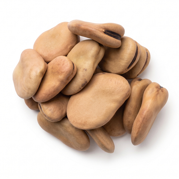 FOUL MEDAMMAS (FAVA BEANS) BIG SIZE