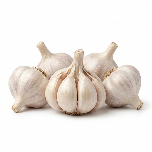 GARLIC
