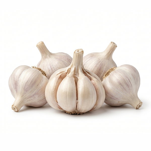 GARLIC