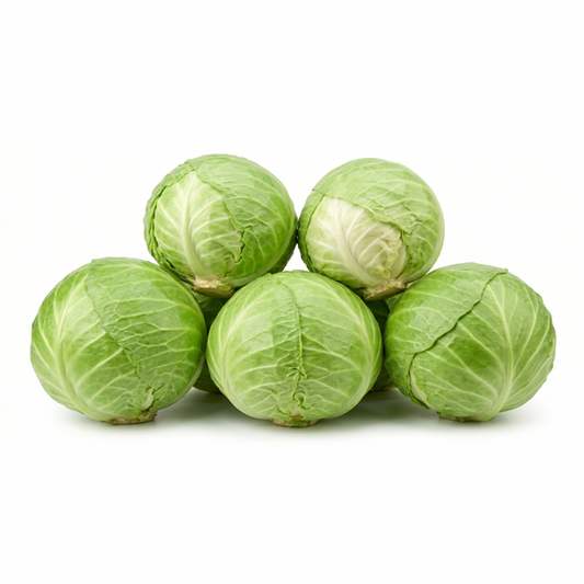 GREEN CABBAGE