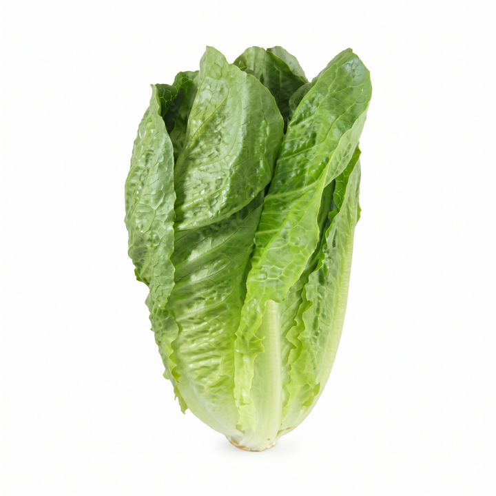 LETTUCE