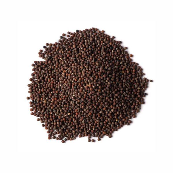 LAFFAN MUSTARD SEED