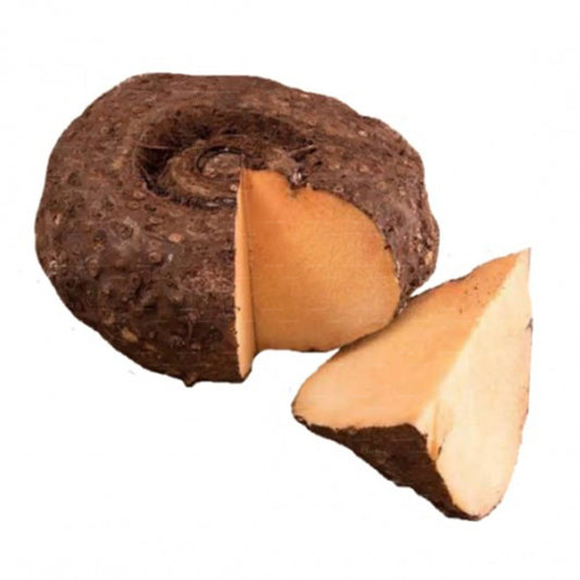 BIG SURAN (YAM)
