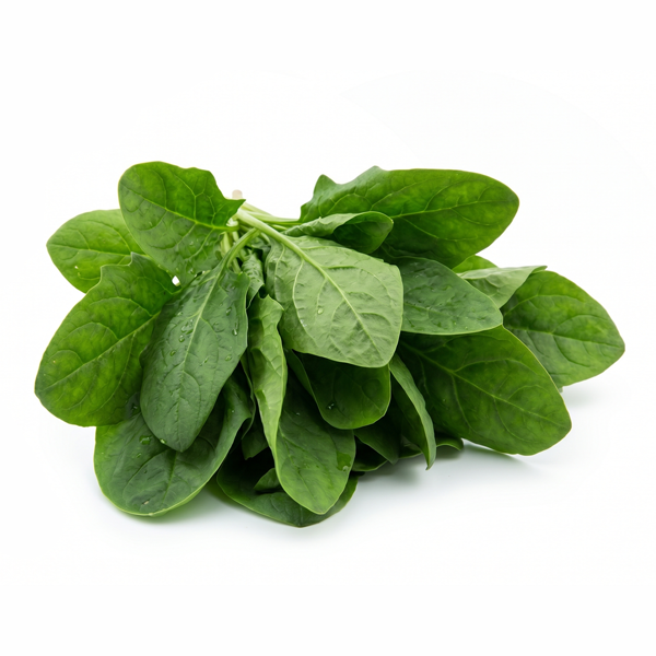 PALAK LEAVES