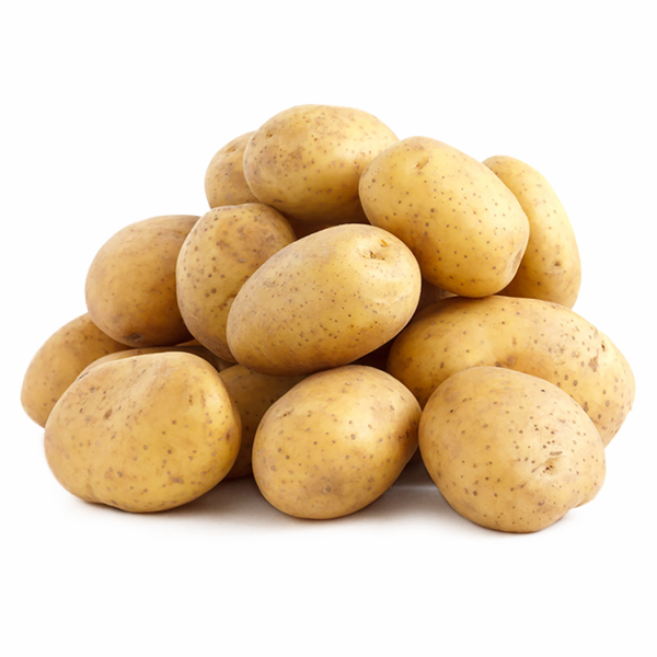 POTATO