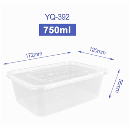 RECTANGULAR PLASTIC TRANSPARENT CONTAINER WITH LID PP