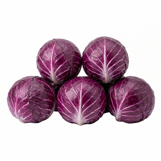 RED CABBAGE