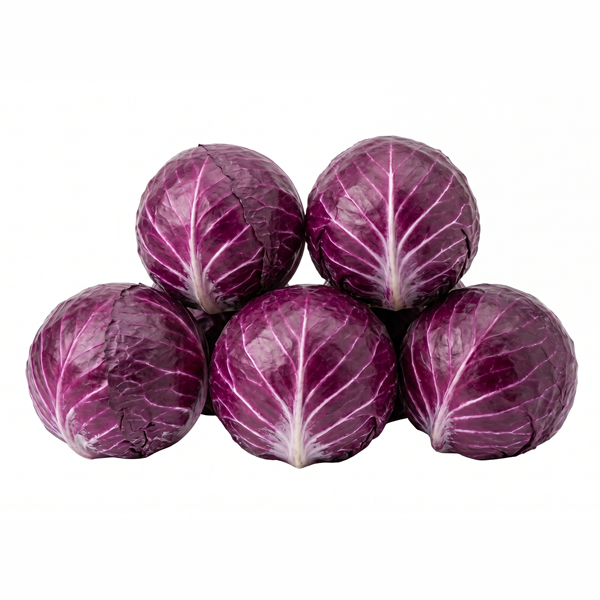 RED CABBAGE