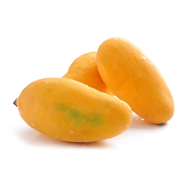 FRESH MANGO PAKISTAN
