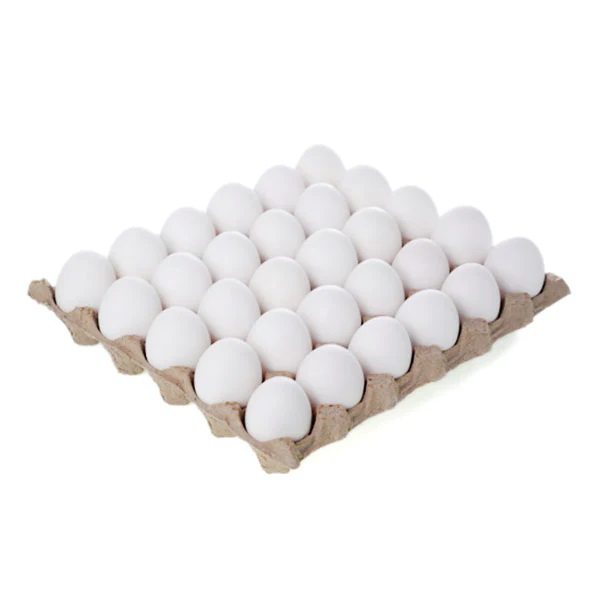 WHITE EGG (1 TRAY) 30 PCS, CTN 12 TRAY