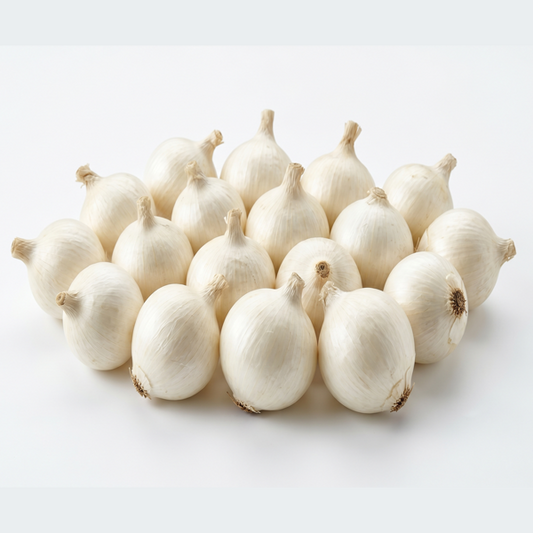 WHITE ONION
