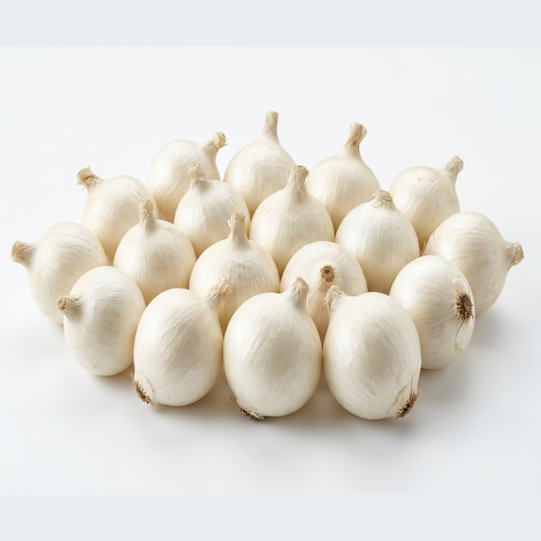 WHITE ONION