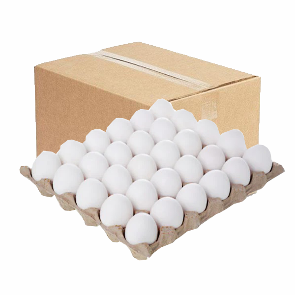 WHITE EGG (1 TRAY) 30 PCS, CTN 12 TRAY – LAFFAN STORE